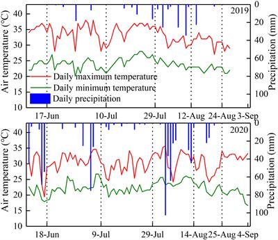 Effects of water deficit at different stages on growth and ear quality of waxy maize